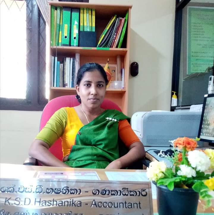 accountant