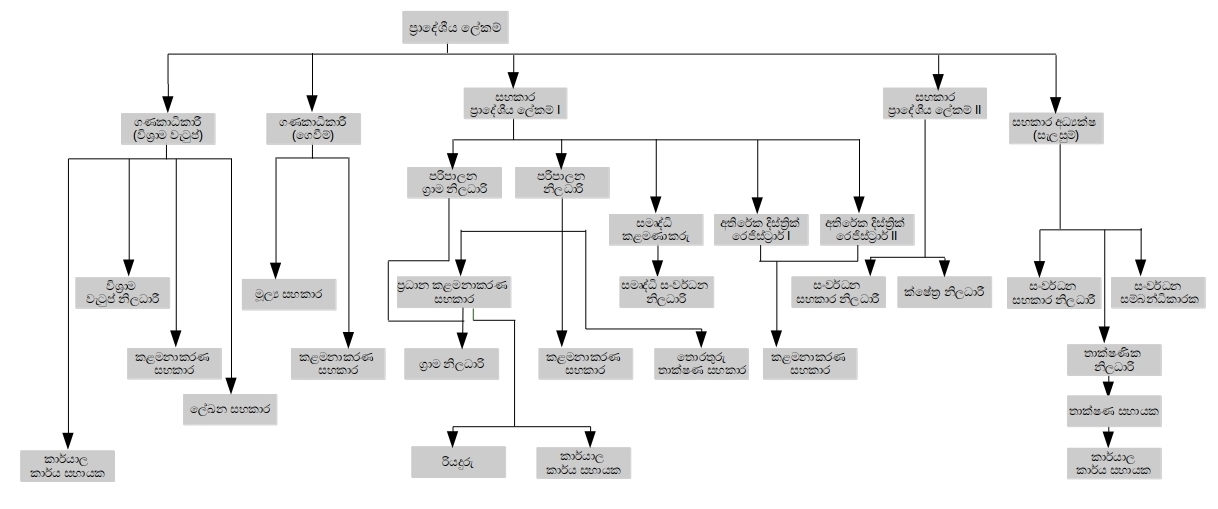 organization structure si